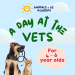 Animals and Us Academy: A Day At The Vets (4 - 6 Years Old)