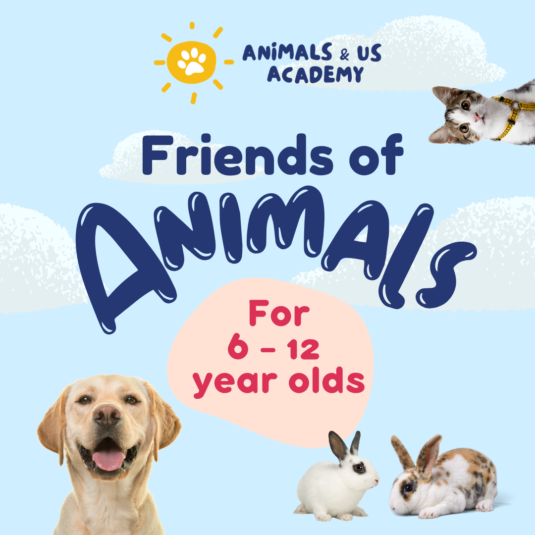 Animals and Us Academy: Friends of Animals Camps (6 - 12 Years Old)