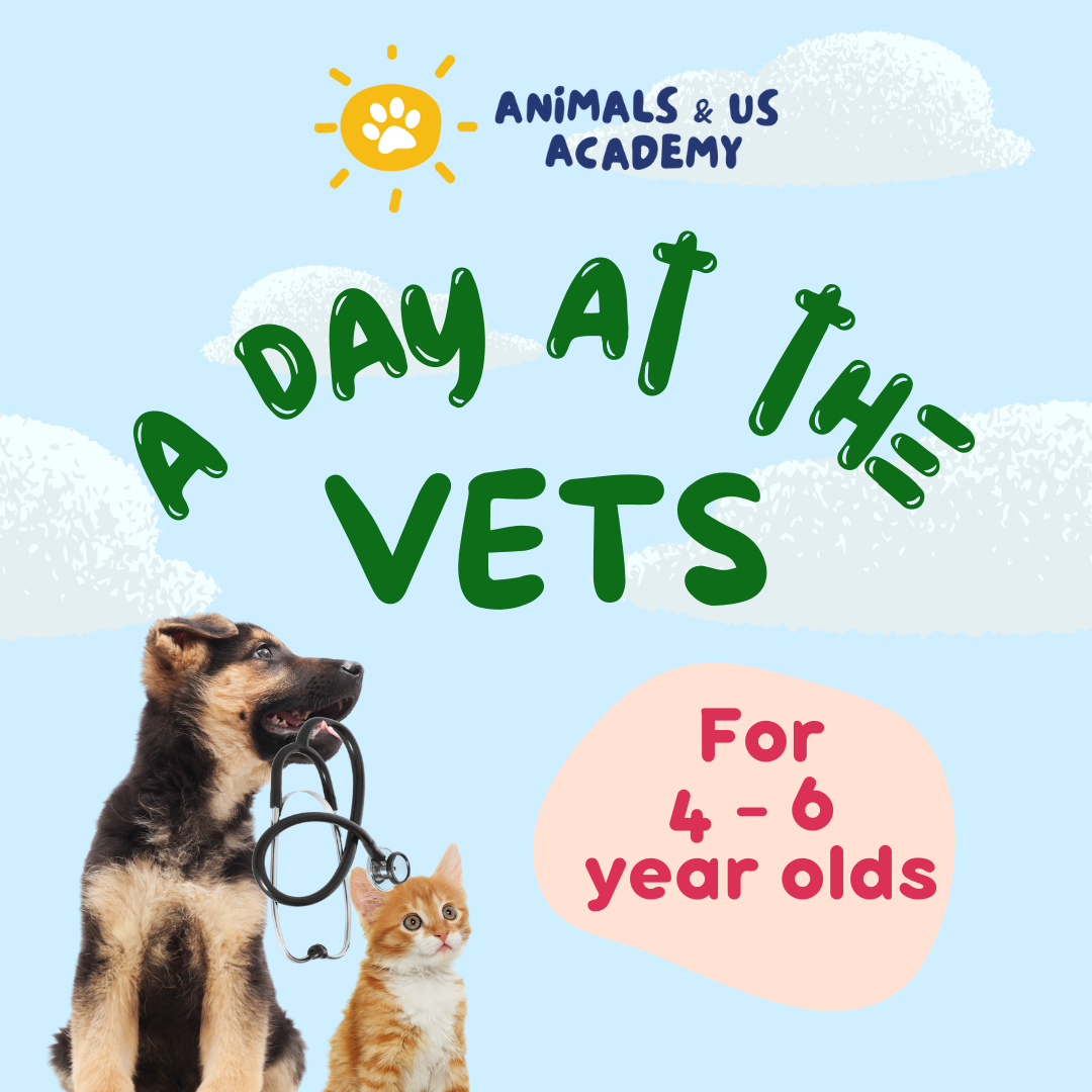 ‘A Day at the Vets’ Workshops with Animals & Us Academy