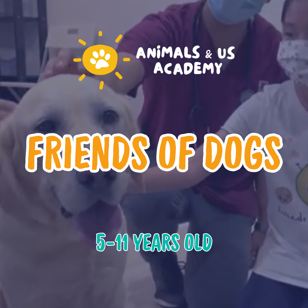 Animals and Us Academy: Friends of Dogs Camp