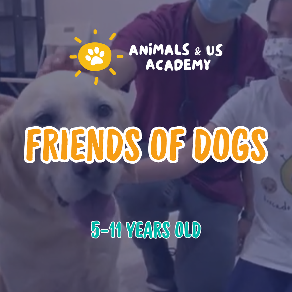 Animals and Us Academy: Friends of Dogs Camp