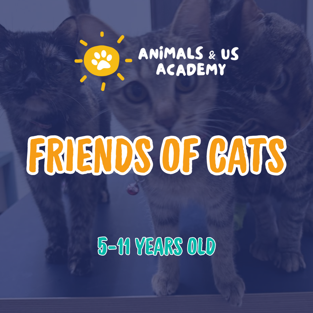 Animals and Us Academy: Friends of Cats Camp