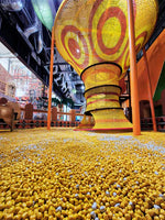 Yooland: 4 x Unlimited Playtime at $98 (U.P. $180)