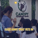 A Day At The Vets Junior Workshop (4 - 6 Years Old)