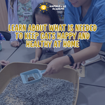 Animals and Us Academy: Friends of Cats Camp