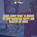 Animals and Us Academy: Friends of Hamsters Camp