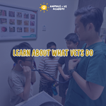 Animals and Us Academy: A Day At The Vets - Senior (7 - 12 Years Old)