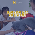 Animals and Us Academy: Friends of Cats Camp