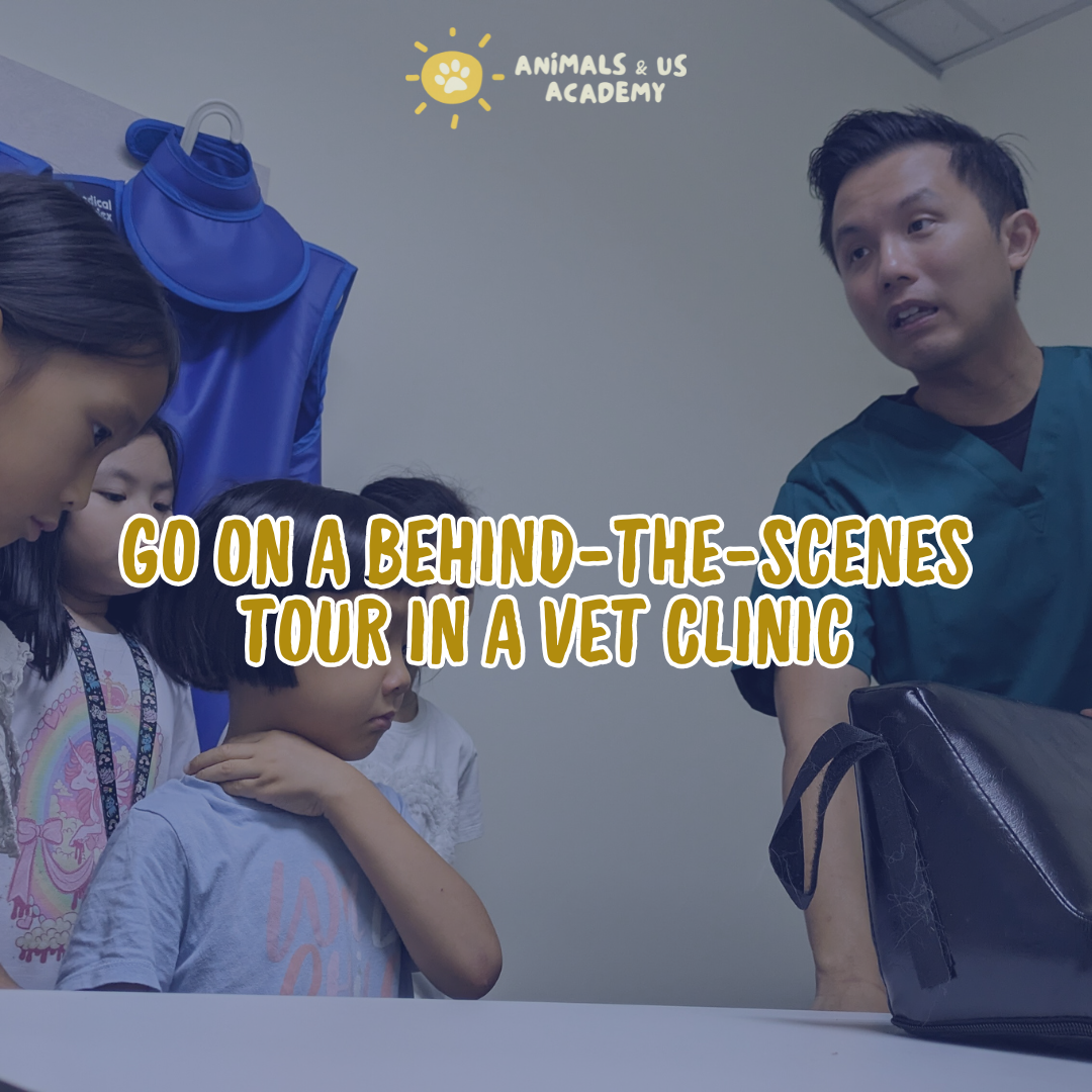 A Day At The Vets Junior Workshop (4 - 6 Years Old)