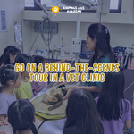 Animals and Us Academy: A Day At The Vets - Senior (7 - 12 Years Old)