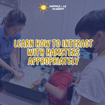 Animals and Us Academy: Friends of Hamsters Camp
