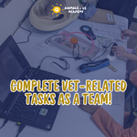 Animals and Us Academy: A Day At The Vets - Senior (7 - 12 Years Old)