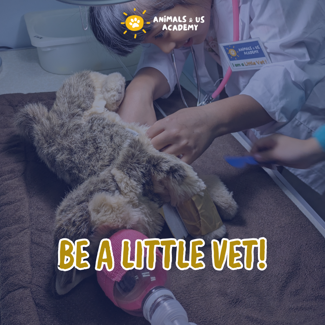A Day At The Vets Junior Workshop (4 - 6 Years Old)