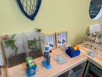 Nature Kindred: Kids Nature Science Playroom