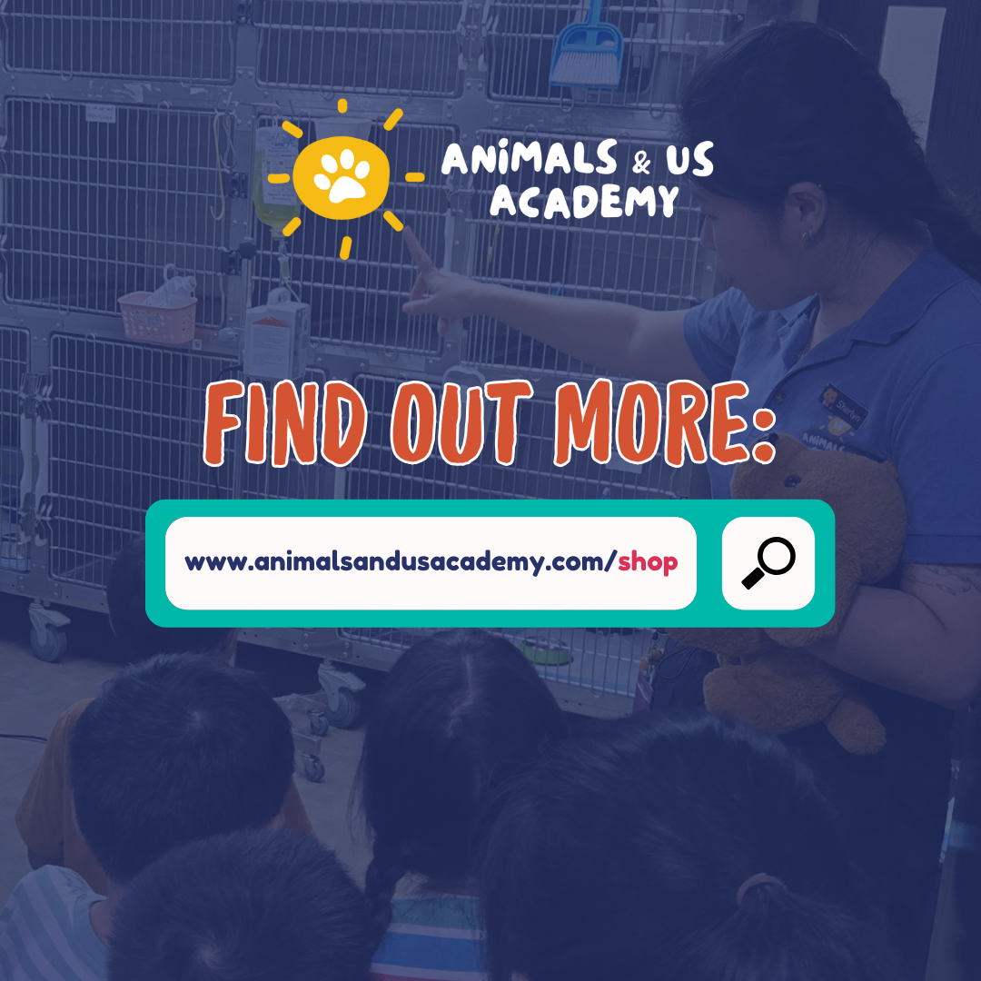 Animals and Us Academy: Friends of Cats Camp
