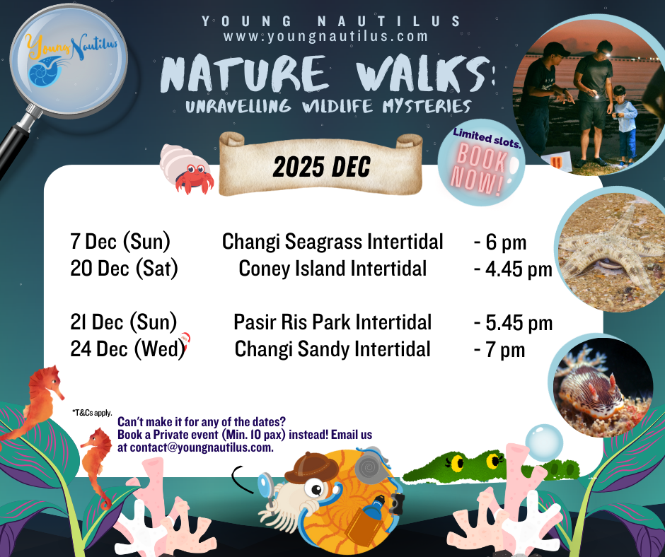 Young Nautilus 2-Hr Nature Walk Programmes from $56
