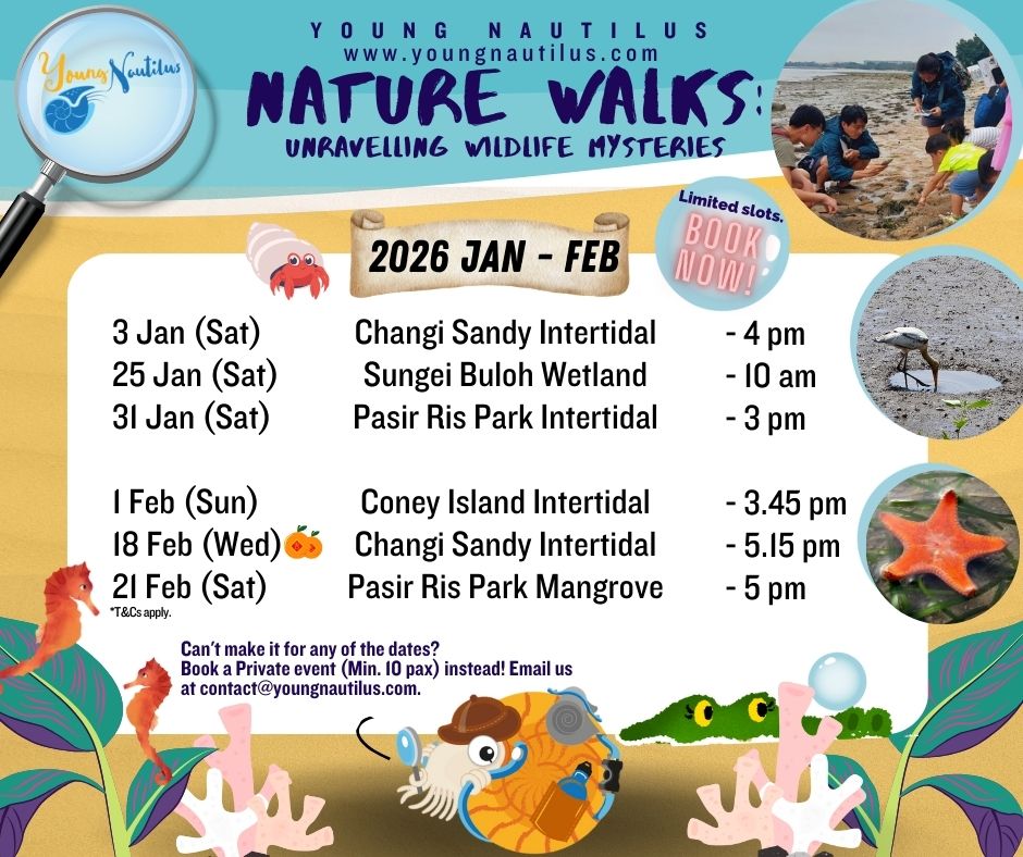 Young Nautilus 2-Hr Nature Walk Programmes from $56