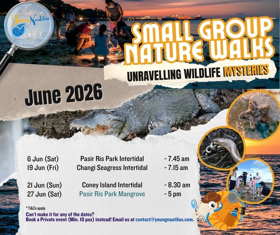 Young Nautilus 2-Hr Nature Walk Programmes from $56