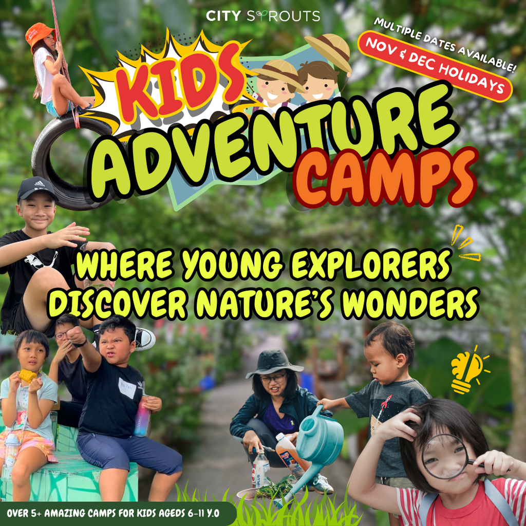 3-Day Kids Adventure Camp