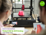 Level 2: Intermediate TinkerCAD + 3D Printing 1-Day Holiday Camp