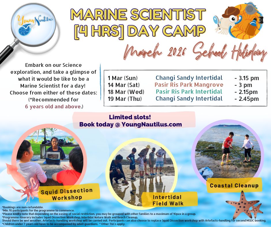 Young Nautilus 4-Hours Marine Scientist Day Camp