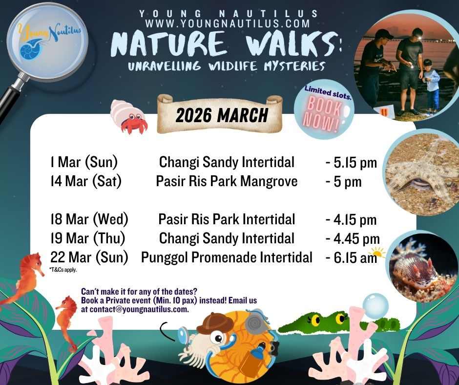 Young Nautilus 2-Hr Nature Walk Programmes from $56