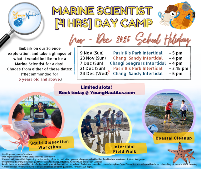 Young Nautilus 4-Hours Marine Scientist Day Camp