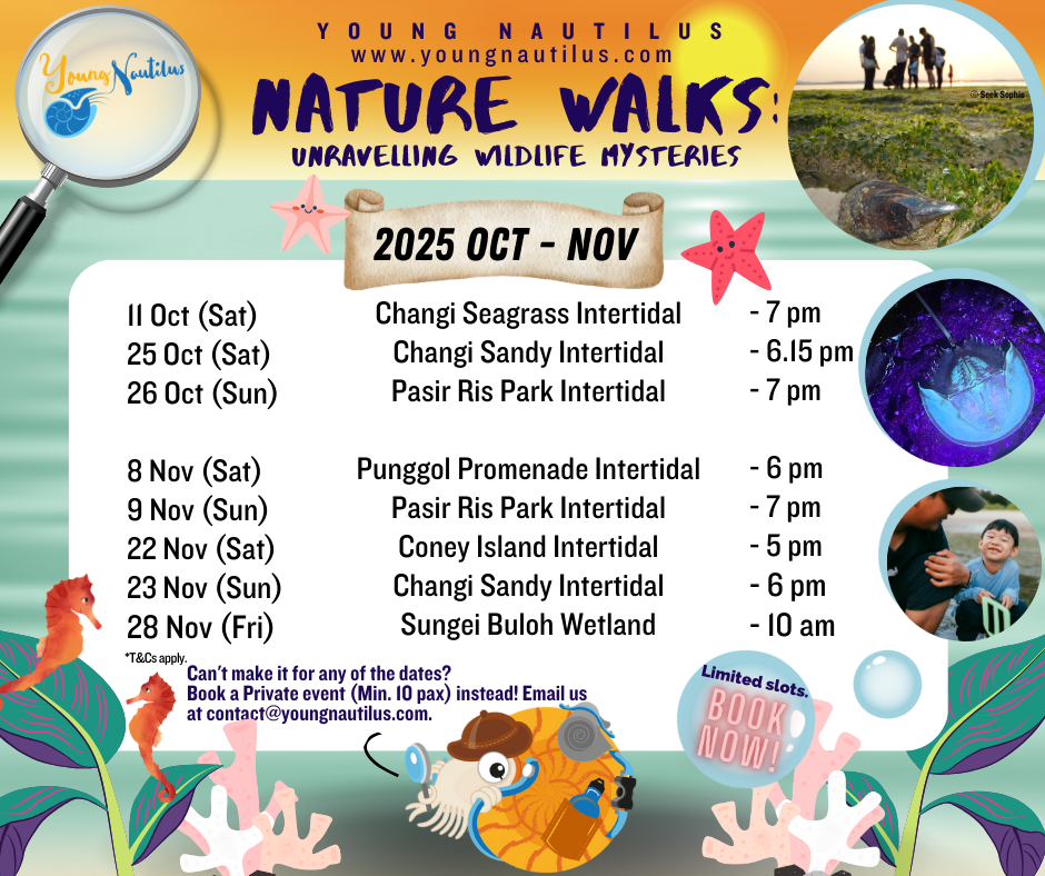 Young Nautilus 2-Hr Nature Walk Programmes from $56