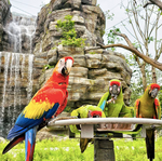 Bird Paradise Tickets - Compare Best Prices Here!