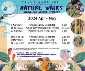 Young Nautilus 2-Hr Nature Walk Programmes from $56