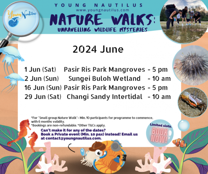 Young Nautilus 2-Hr Nature Walk Programmes from $56
