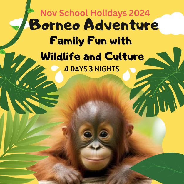 Nov 2024 Borneo Adventure: Family Fun with Wildlife and Culture