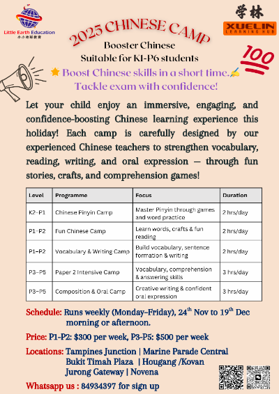 5-Day Fun & Intensive Chinese Learning Camps (K2-P5)