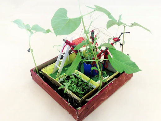 Garden of Wonders Holiday Workshop (6 Years Old & Above)