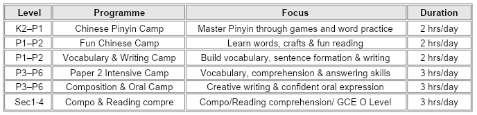 5-Day Fun & Intensive Chinese Learning Camps (K2 - Sec 4)