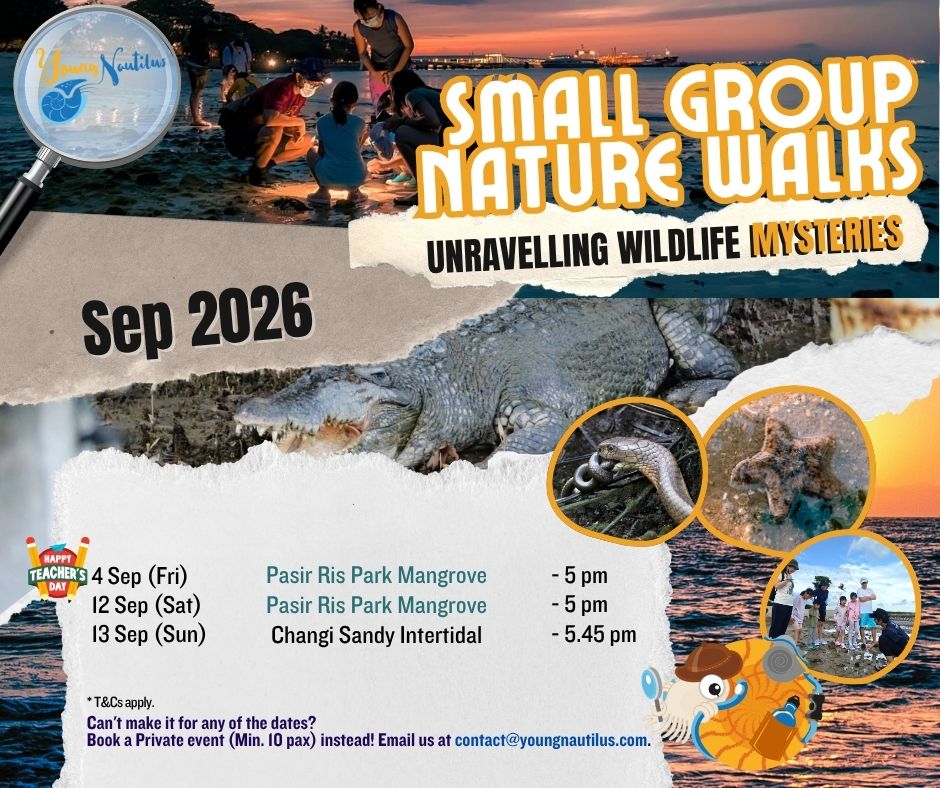 Young Nautilus 2-Hr Nature Walk Programmes from $56