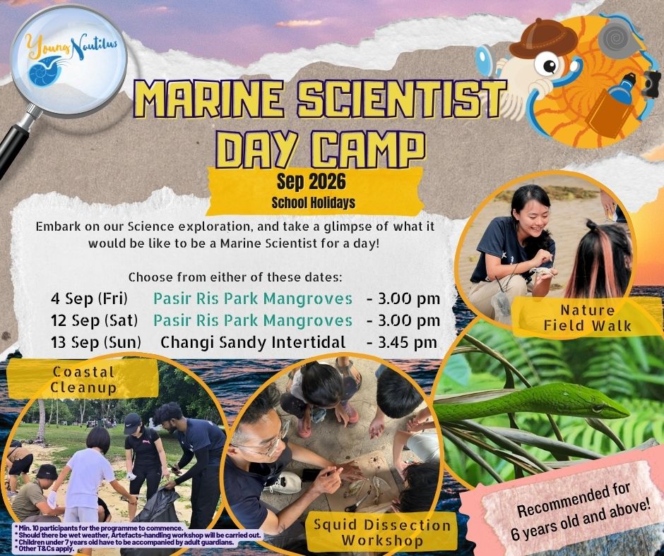 Young Nautilus 4-Hours Marine Scientist Day Camp