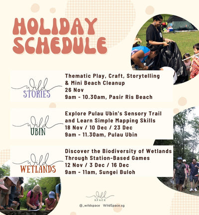 Walk On The Wild Side School Holiday Programmes (4 - 12 Years Old)