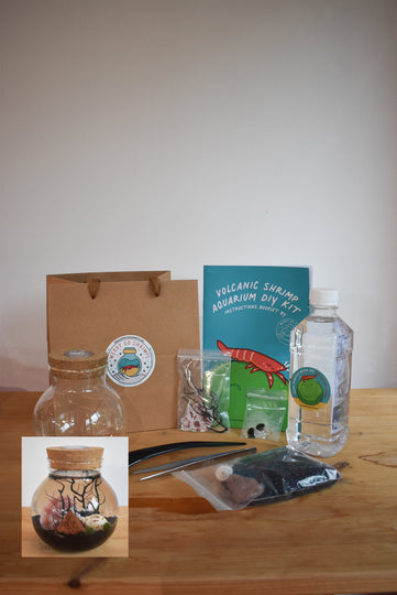 Volcanic Shrimp Aquarium DIY Kit - BYKidO
