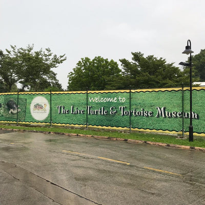 The Live Turtle and Tortoise Museum