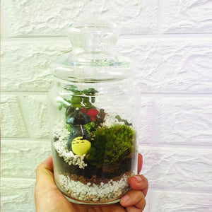 The Green Capsule: Closed Ornamental Terrarium DIY Kit @ Just $45 (Delivery Fee Inclusive) - BYKidO