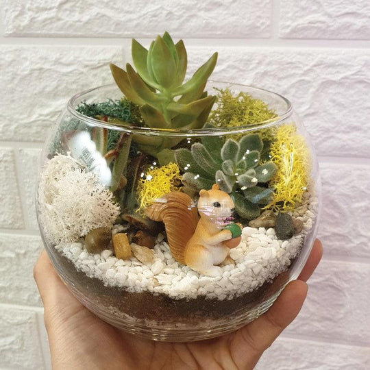 The Green Capsule: Open Succulent Terrarium DIY Kit @ Just $50 (Delivery Fee Inclusive) - BYKidO