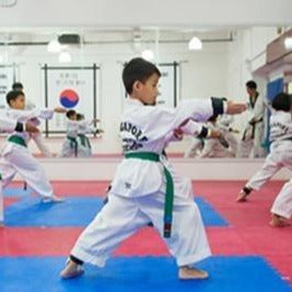 Kid's Taekwondo Class x 12 (1 Term) with Registration Fee Waiver @ $456 (U.P $530)