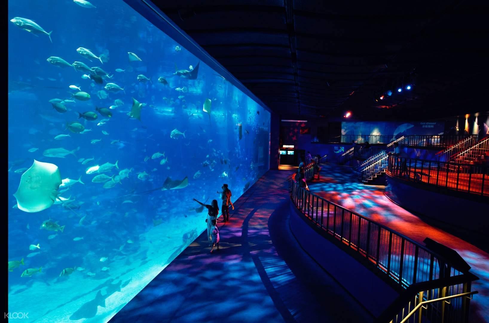 S.E.A. Aquarium™ One-Day Ticket - BYKidO