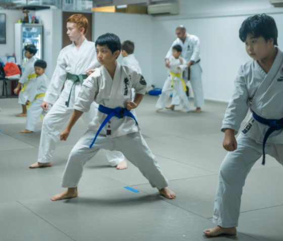Karate Nation: Karate Trial Class For 4 Years And Up At $31.50 (U.P. $37.50) - BYKidO