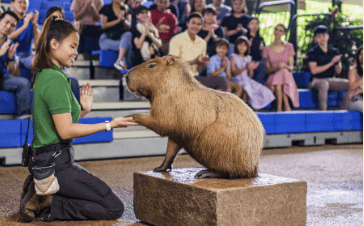 River Wonders Tickets - Compare Best Prices Here! - BYKidO