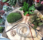 The Green Capsule: Open Foliage Terrarium Workshop