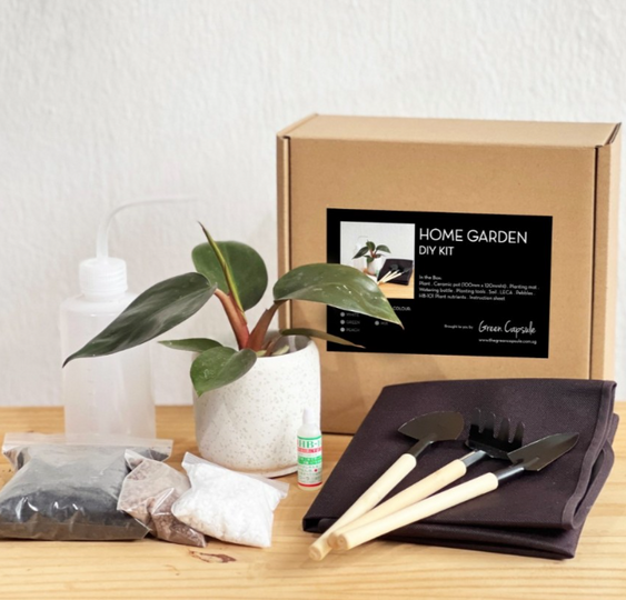 The Green Capsule: Home Garden DIY Kit @ Just $65 (Delivery Fee Inclusive) - BYKidO