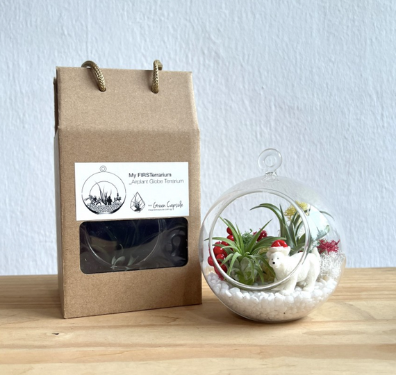 The Green Capsule: Globe DIY Kit @ Just $40 (Delivery Fee Inclusive) - BYKidO