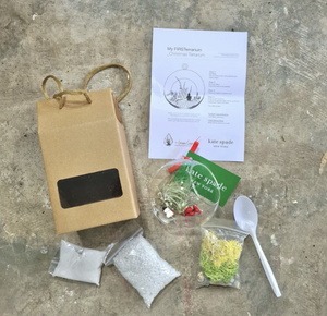 The Green Capsule: Globe DIY Kit @ Just $40 (Delivery Fee Inclusive)